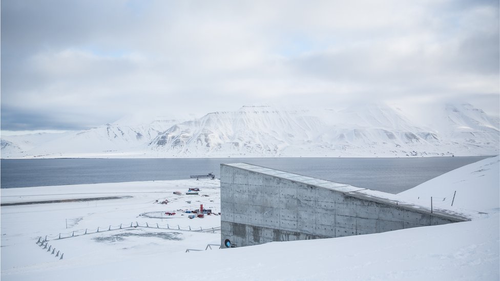 Banco Mundial de Semillas de Svalbard