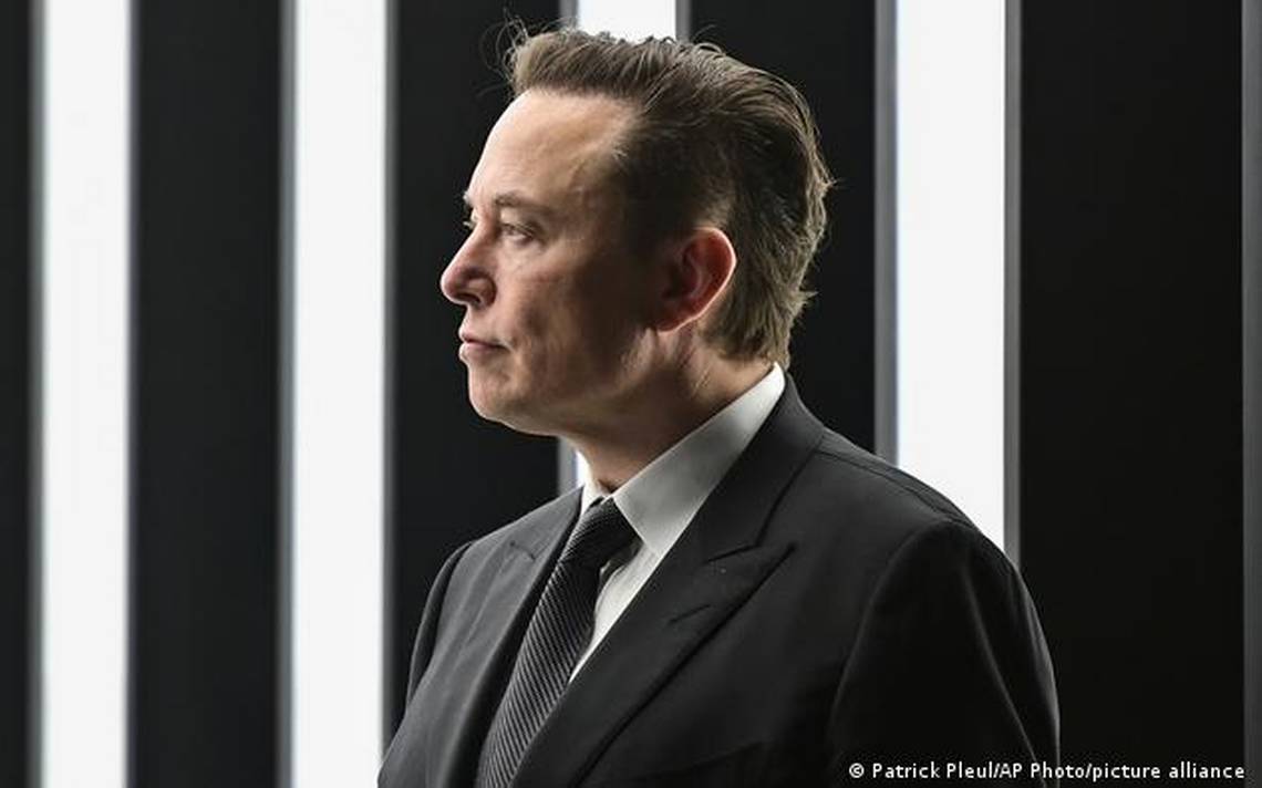 ¿Adiós a los bots de Twitter? Elon Musk promete vencer el spam para"incrementar la confianza" ¿Adiós a los bots de Twitter? Elon Musk promete vencer el spam para
